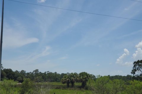 Terrain à vendre à Okeechobee, Floride № 1122445 - photo 7