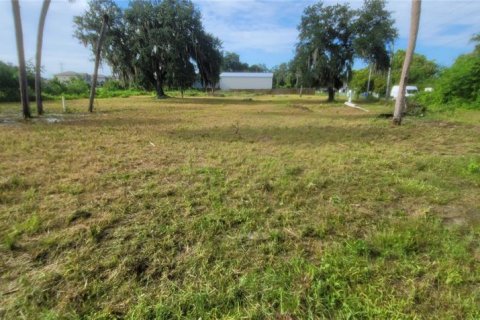 Terreno en venta en Gibsonton, Florida № 1363764 - foto 8