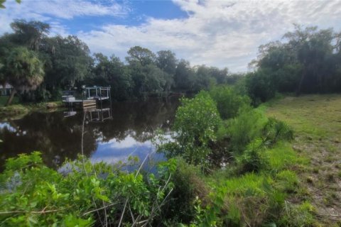 Land in Gibsonton, Florida № 1363764 - photo 2