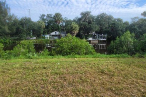 Terrain à vendre à Gibsonton, Floride № 1363764 - photo 4