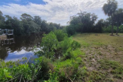 Land in Gibsonton, Florida № 1363764 - photo 1