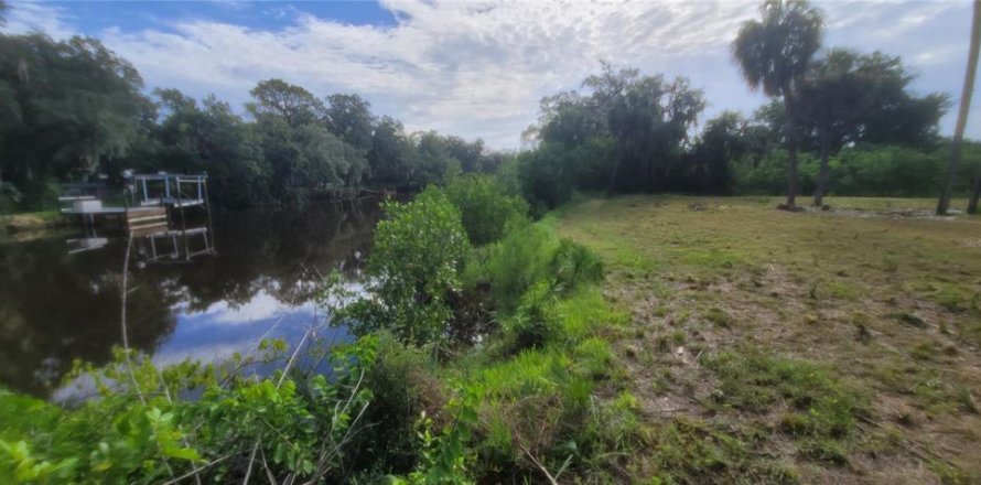 Terreno en Gibsonton, Florida № 1363764