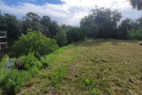 Terrain à vendre à Gibsonton, Floride № 1363764 - photo 6