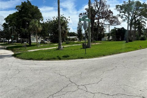 Land in New Port Richey, Florida № 1363765 - photo 3