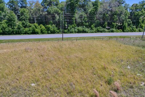 Terrain à vendre à Bushnell, Floride № 1375239 - photo 3