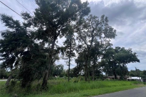 Land in Ocala, Florida № 1272930 - photo 2