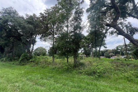 Land in Ocala, Florida № 1272930 - photo 1