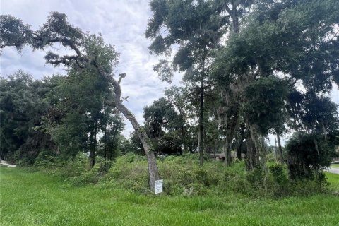 Terreno en venta en Ocala, Florida № 1272930 - foto 4