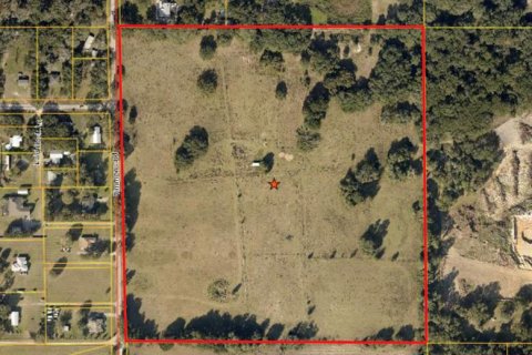 Land in Thonotosassa, Florida № 1369759 - photo 1