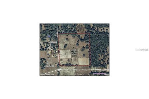 Terreno en venta en Thonotosassa, Florida № 1369759 - foto 5