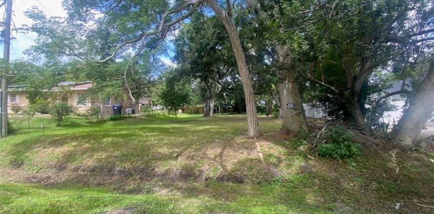 Land in Orlando, Florida № 1254847