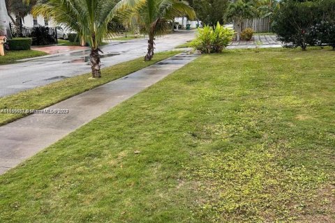 Villa ou maison à louer à Palmetto Bay, Floride: 3 chambres, 111.48 m2 № 1364167 - photo 2