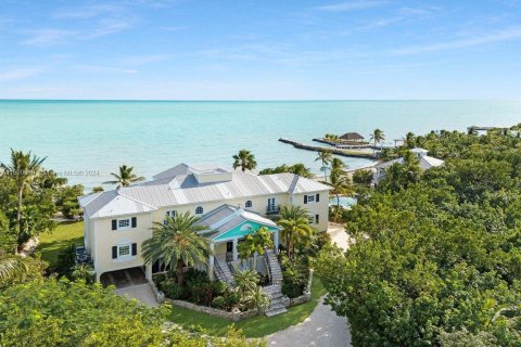 Villa ou maison à vendre à Islamorada, Village of Islands, Floride: 5 chambres № 967738 - photo 4