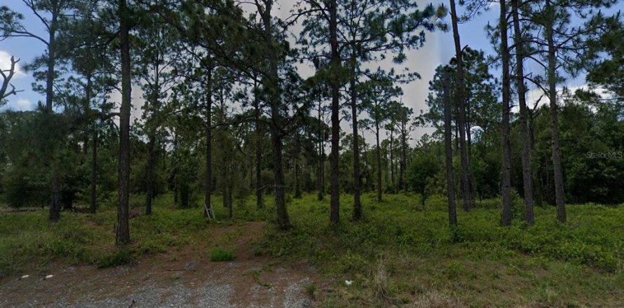 Land in Clewiston, Florida № 838095