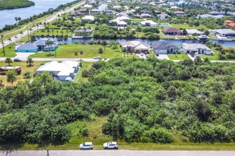 Land in Port Charlotte, Florida № 1382685 - photo 5