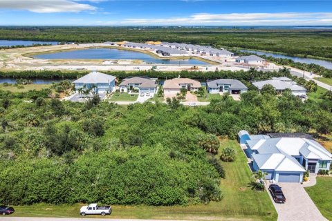 Land in Port Charlotte, Florida № 1382685 - photo 15