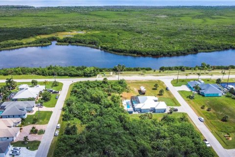 Land in Port Charlotte, Florida № 1382685 - photo 1