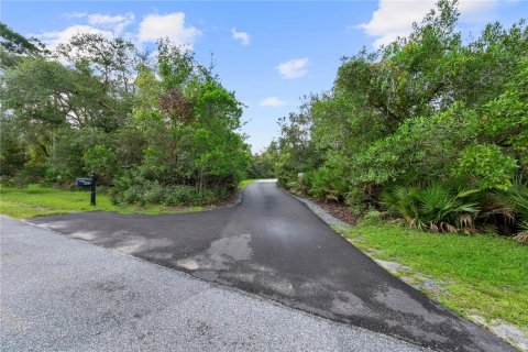 Casa en venta en Saint Augustine, Florida, 4 dormitorios, 198.44 m2 № 1363380 - foto 2