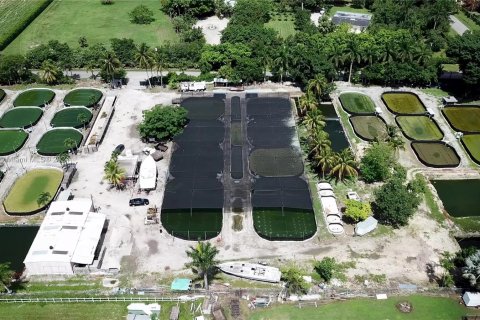 Propiedad comercial en venta en Homestead, Florida № 1397524 - foto 7