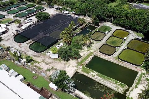 Immobilier commercial à vendre à Homestead, Floride № 1397524 - photo 8