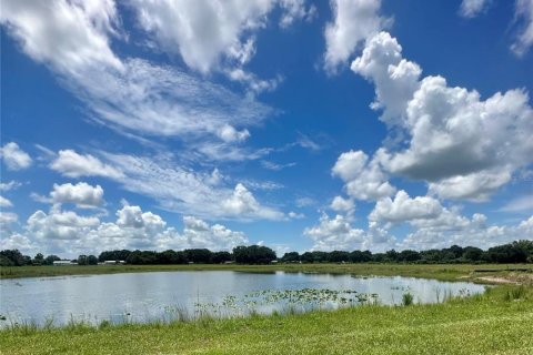 Land in Kenansville, Florida № 1318398 - photo 3