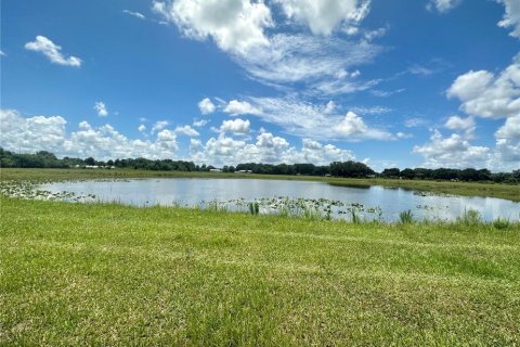 Terrain à vendre à Kenansville, Floride № 1318398 - photo 4