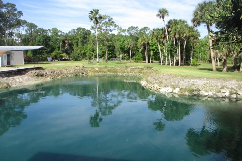 Land in Okeechobee, Florida № 1129289 - photo 3