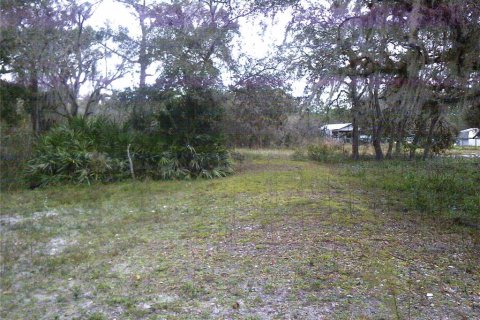 Купить земельный участок в Окичоби, Флорида № 941886 - фото 10
