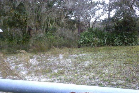 Купить земельный участок в Окичоби, Флорида № 941886 - фото 9