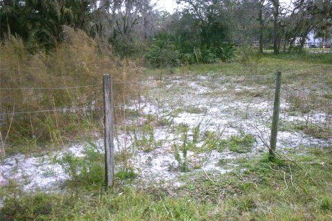Купить земельный участок в Окичоби, Флорида № 941886 - фото 3
