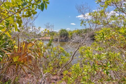 Land in Port Charlotte, Florida № 941885 - photo 9