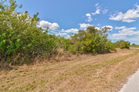 Terreno en venta en Port Charlotte, Florida № 941885 - foto 8