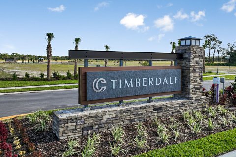 Timberdale at Chapel Crossings sobre plano en Wesley Chapel, Florida № 396527 - foto 1