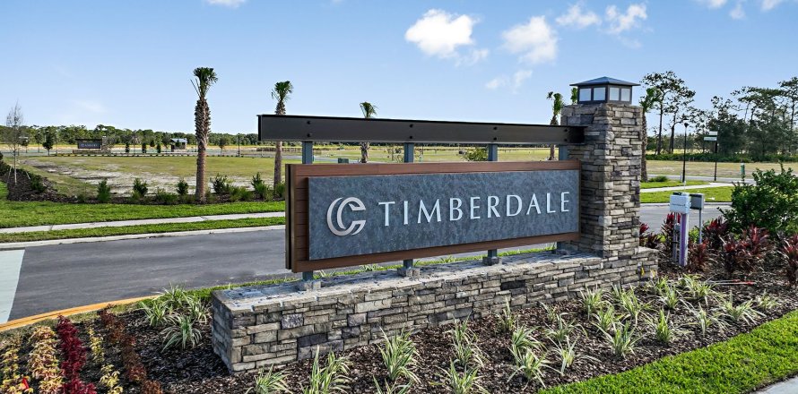Timberdale at Chapel Crossings à Wesley Chapel, Floride № 396527