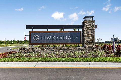 Timberdale at Chapel Crossings sobre plano en Wesley Chapel, Florida № 396527 - foto 11