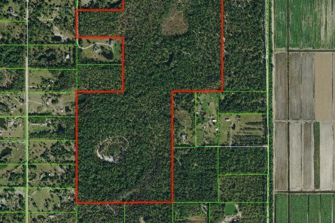 Land in The Acreage, Florida № 994067 - photo 1