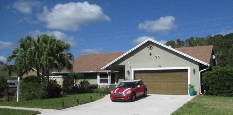 House in Wellington, Florida 3 bedrooms, 207.92 sq.m. № 1135513