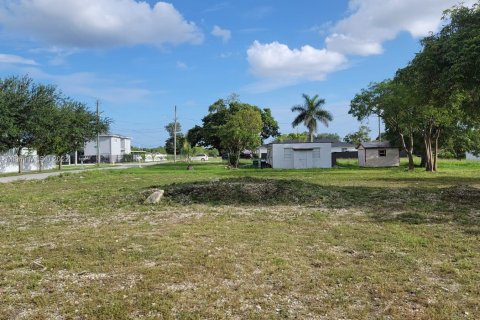 Купить земельный участок в Гулдс, Флорида № 8631 - фото 3