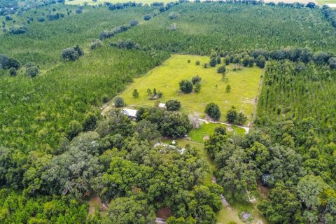 Terreno en venta en Morriston, Florida № 1403816 - foto 16