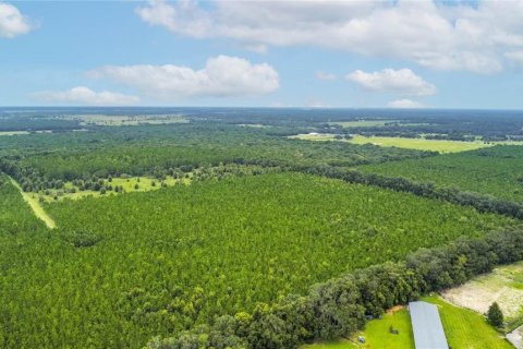 Terreno en venta en Morriston, Florida № 1403816 - foto 14