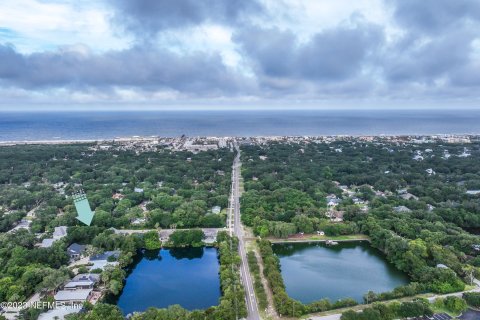 Villa ou maison à vendre à Saint Augustine, Floride: 4 chambres, 237.55 m2 № 767437 - photo 4