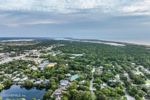 Villa ou maison à vendre à Saint Augustine, Floride: 4 chambres, 237.55 m2 № 767437 - photo 5