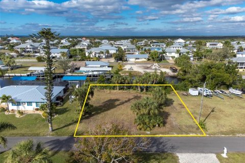 Terreno en venta en Punta Gorda, Florida № 937104 - foto 7