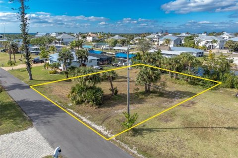 Terreno en venta en Punta Gorda, Florida № 937104 - foto 9