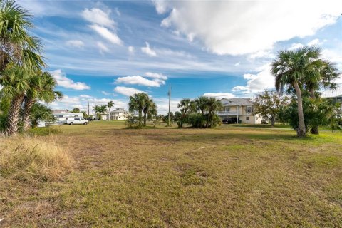 Terrain à vendre à Punta Gorda, Floride № 937104 - photo 6