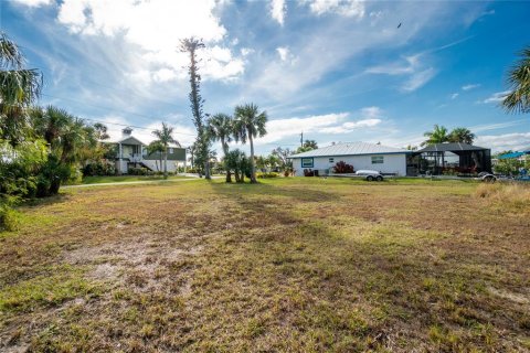 Terrain à vendre à Punta Gorda, Floride № 937104 - photo 5