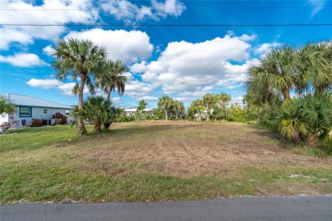 Terrain à vendre à Punta Gorda, Floride № 937104 - photo 3