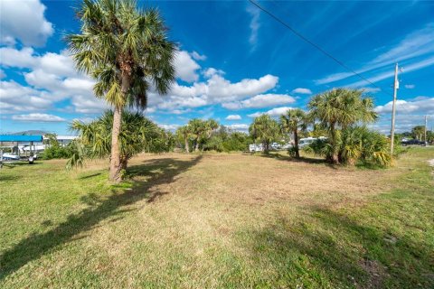 Terreno en venta en Punta Gorda, Florida № 937104 - foto 4