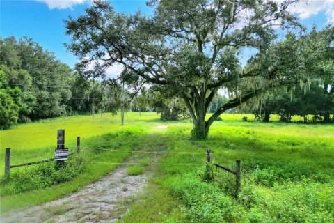 Land in Valrico, Florida № 1376147 - photo 6