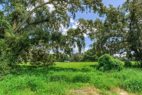 Land in Valrico, Florida № 1376147 - photo 16